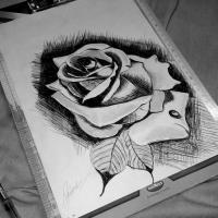 My Art - Rose Art - Ballpen Art
